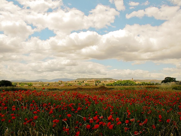 Campos castellanos
