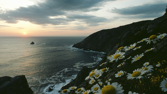 Finisterre - Galicia