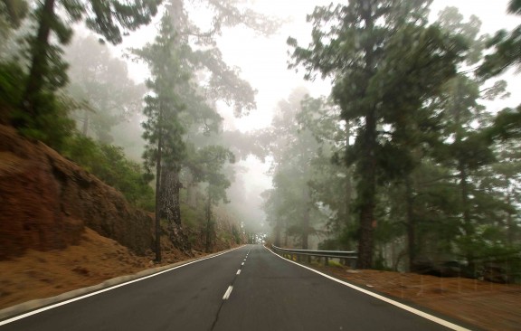 Bosques del Parque Nacional